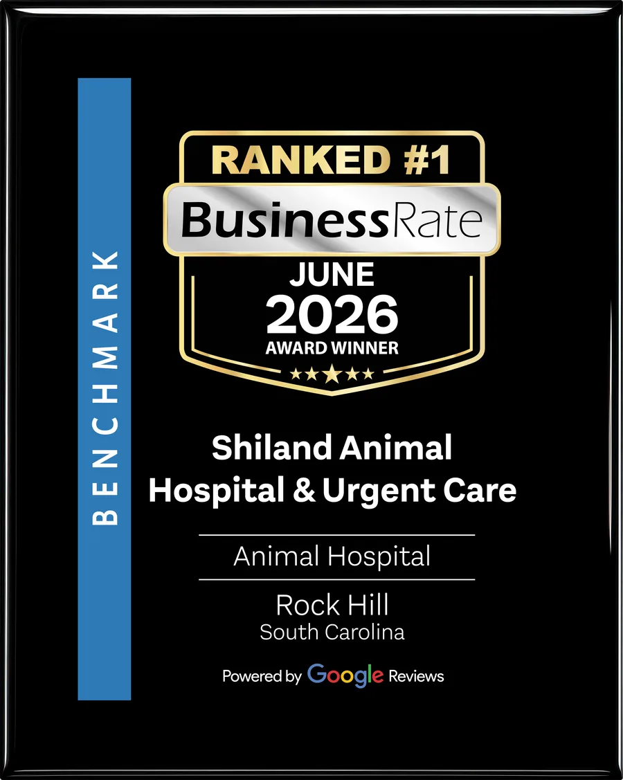 Shiland Animal Hospital & Urgent Care — Ranked #1 Animal Hospital in Rock Hill, South Carolina. June 2026 BusinessRate Award Winner, powered by Google Reviews.