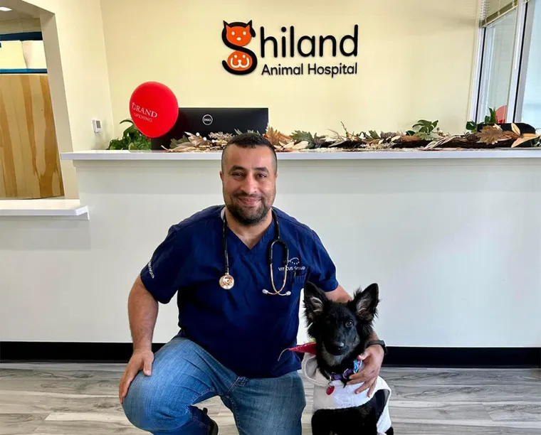 Dr. Sabah Kadhim, Owner and Veterinarian at Shiland Animal Hospital